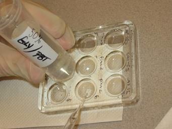 glycerol