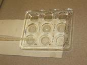 glycerol