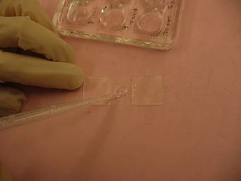 glycerol
