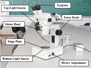 Image result for the dissecting microscope